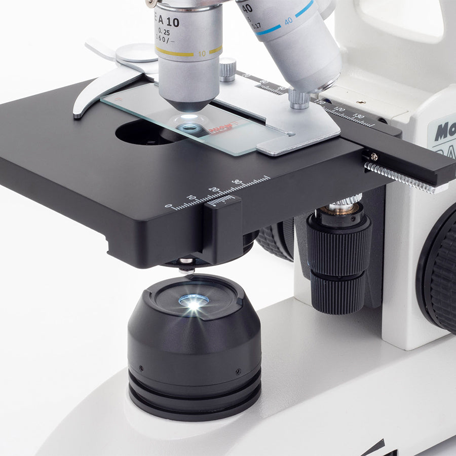 BA81B MS (4X, 10X, 40X)