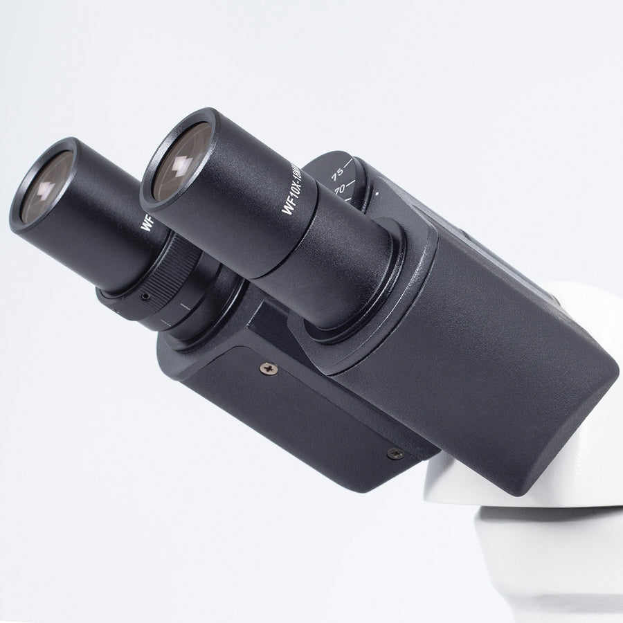 BA81B MS (4X, 10X, 40X)