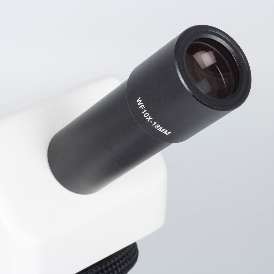 B1-211E-SP (4X, 10X, 40X)