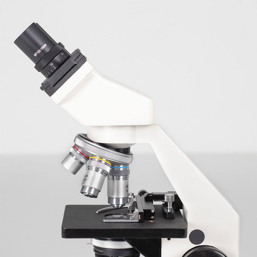 SH Kolleg 3434LED Cordless (MSH)