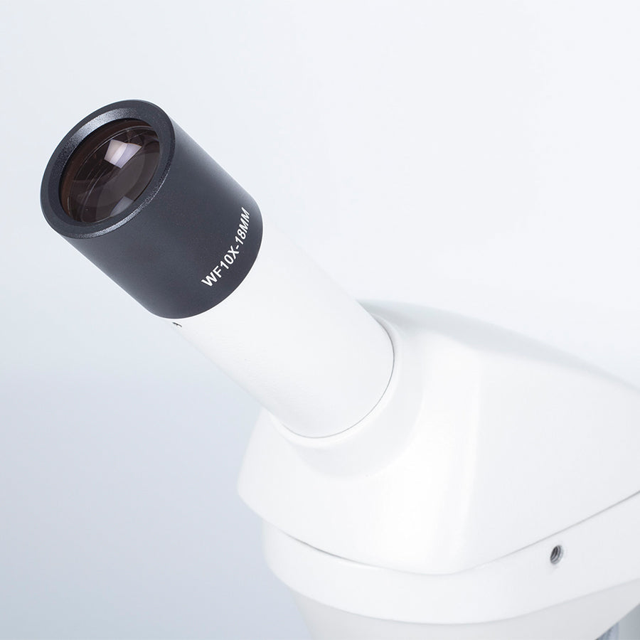 RED120 (4X, 10X, 40X)