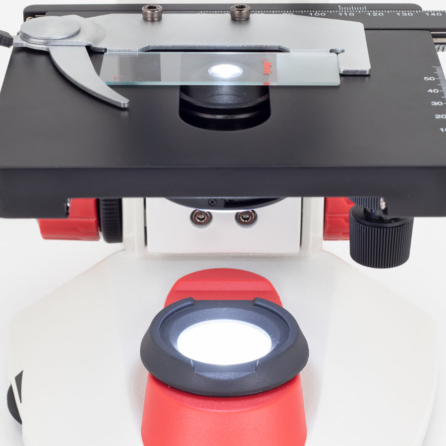 RED223 (4X, 10X, 40X, 60X)