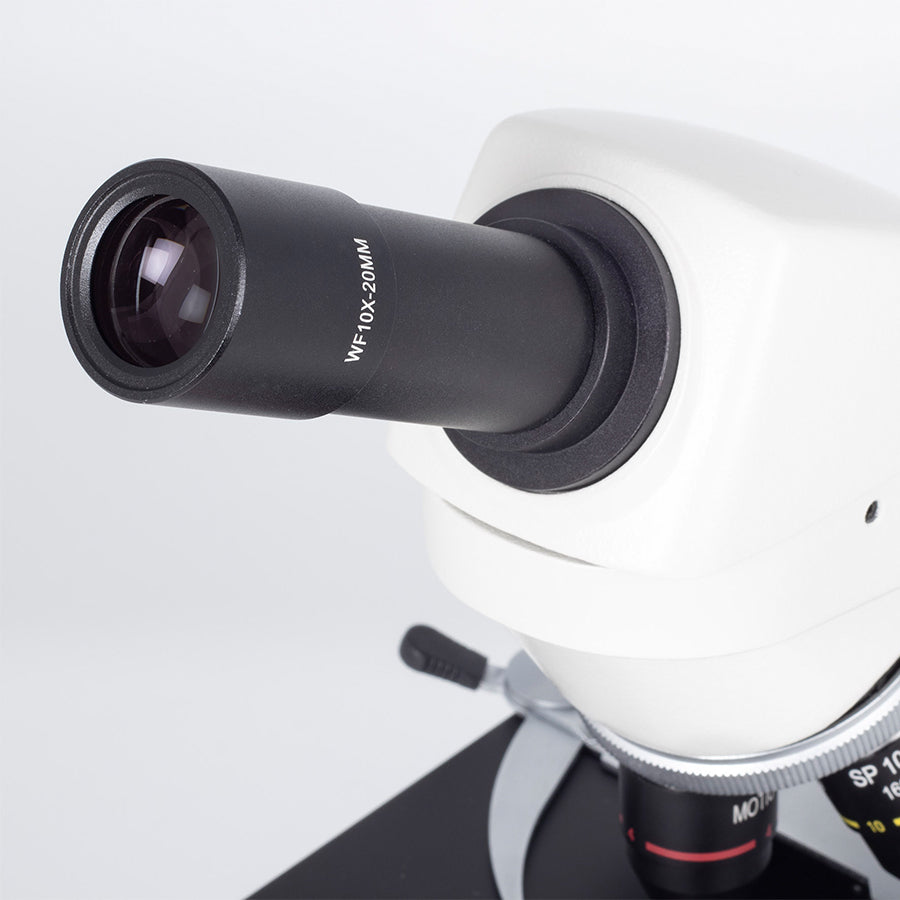 RED211 (4X, 10X, 40X)