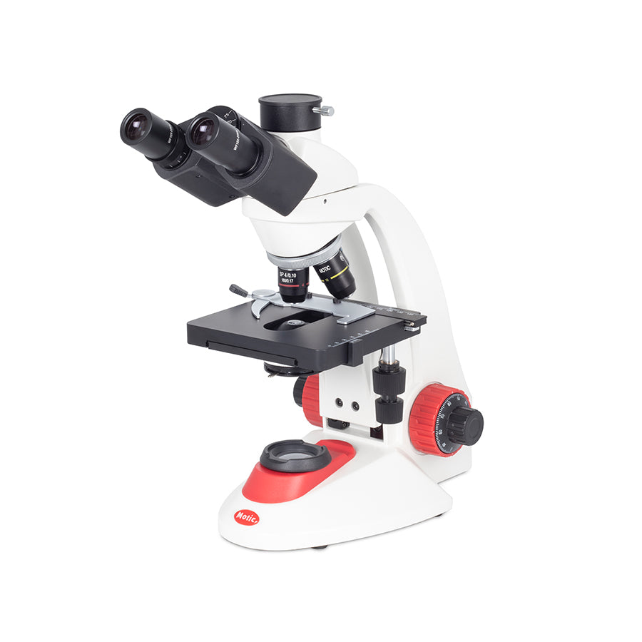 RED223 (4X, 10X, 40X)