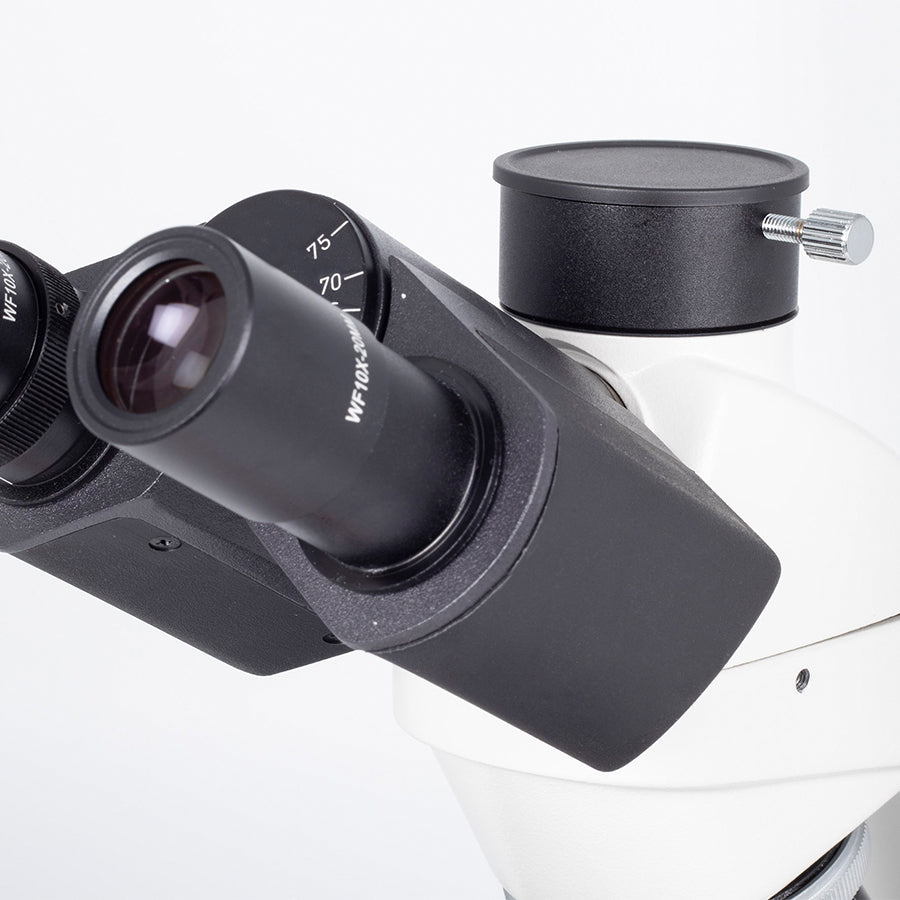 RED223 (4X, 10X, 40X)