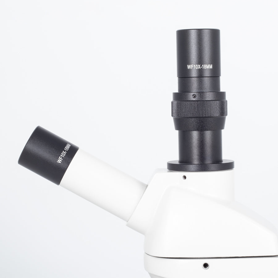 RED131 (4X, 10X, 40X, 60X)