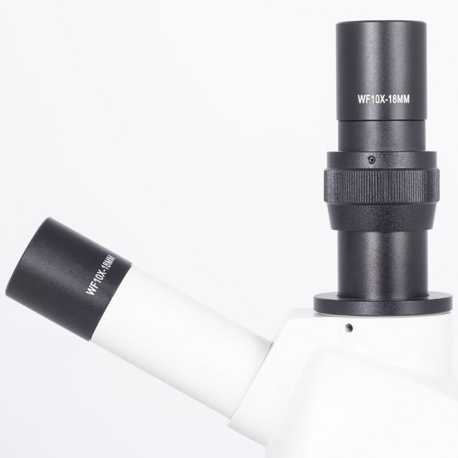 RED131 (4X, 10X, 40X)