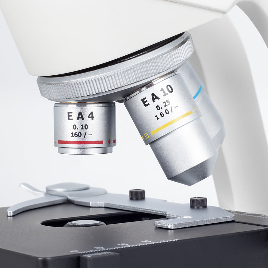 RED131 (4X, 10X, 40X)