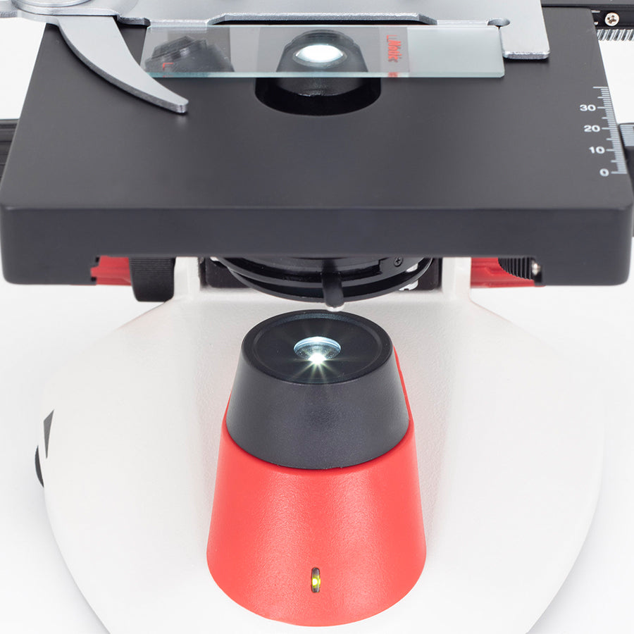 RED131 (4X, 10X, 40X)