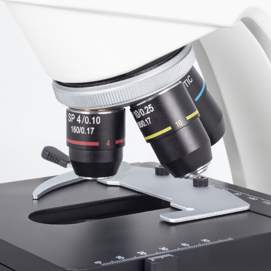 RED233 (4X, 10X, 40X)