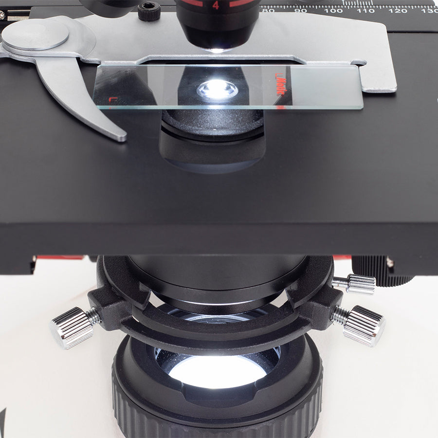 RED233 (4X, 10X, 40X)