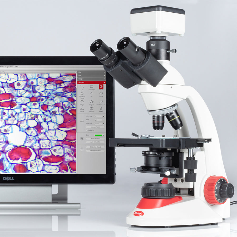 RED233 (4X, 10X, 40X)