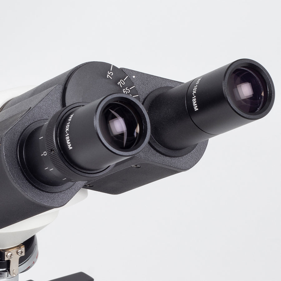 EcoLine C-20 LED (4X, 10X, 40X)