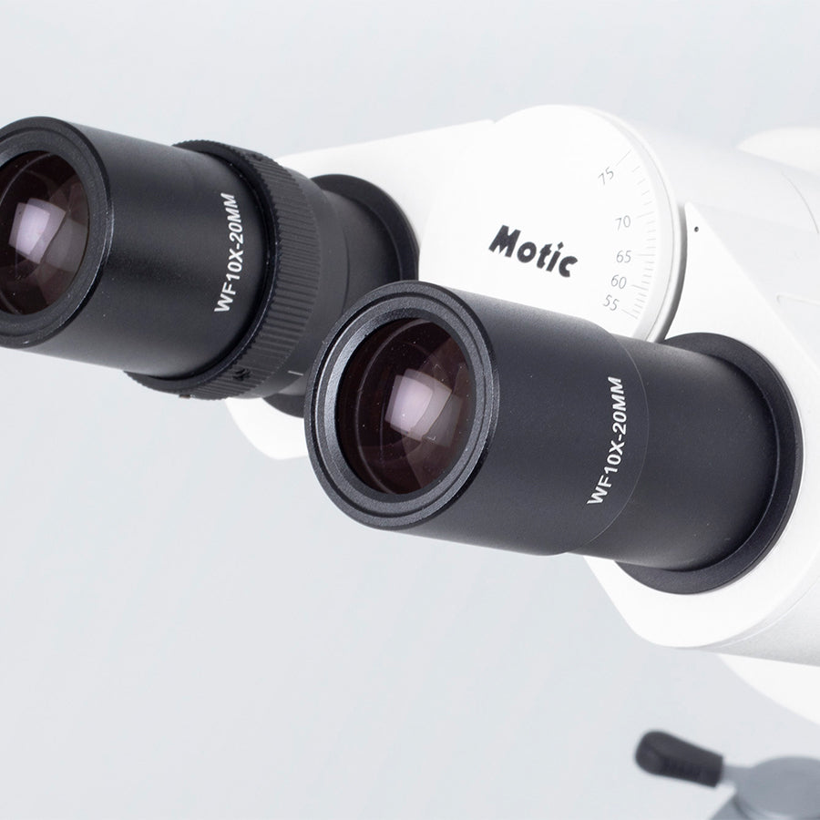 SILVER152 (4X, 10X, 40X)