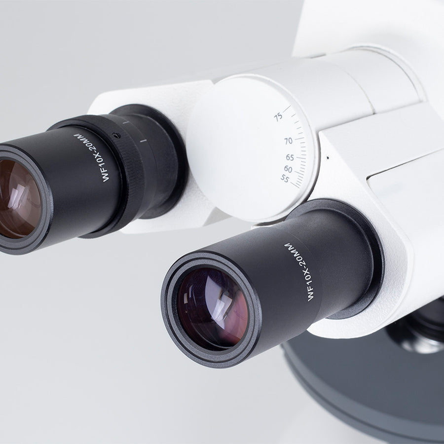 SILVER252 (4X, 10X, 40X)