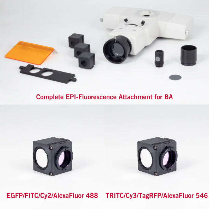 BA410E WITH FITC AND TRITC FILTER FLUORESCENCE PACKAGE