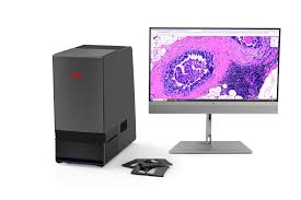 MoticEasyscan Two: (20X), (cámara de 12 MP), sin PC