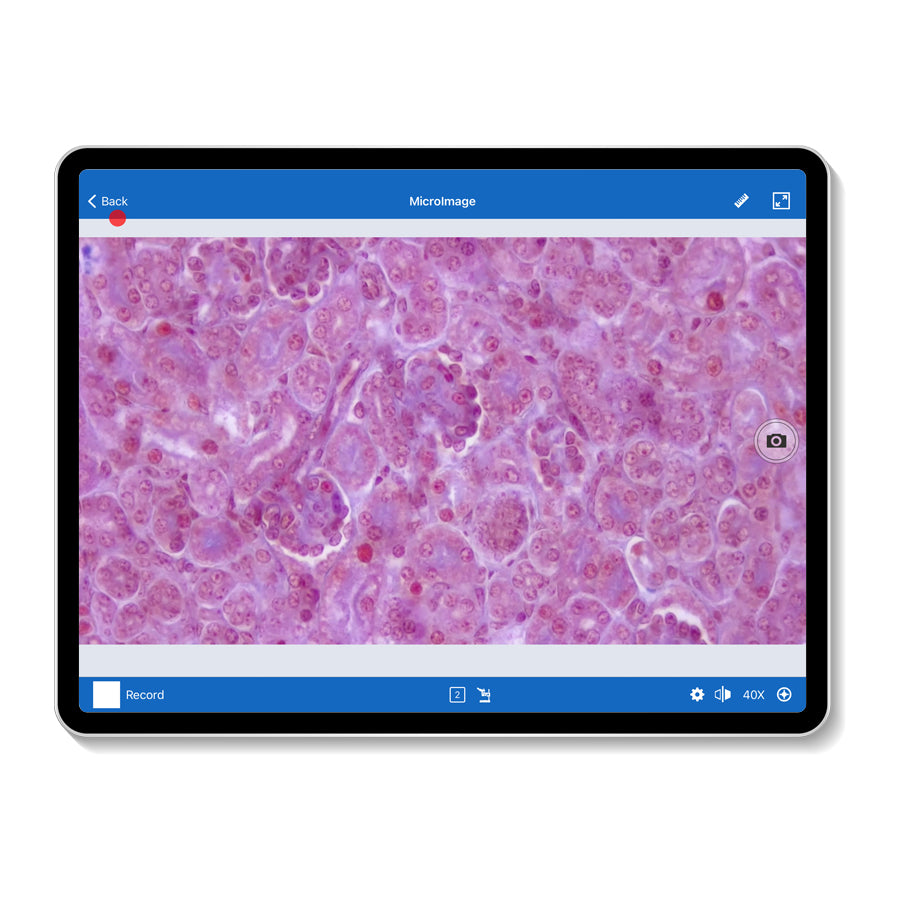 MOTICNET SILVER Screen