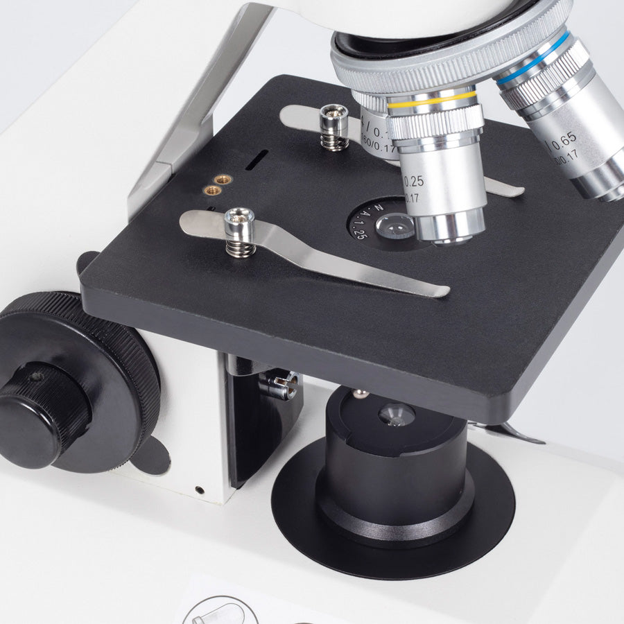 SH Kolleg 3431LED Cordless