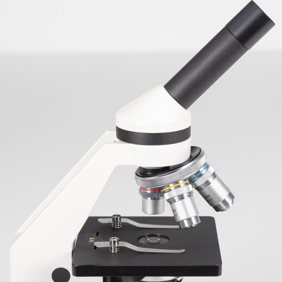 SH Kolleg 3431LED Cordless